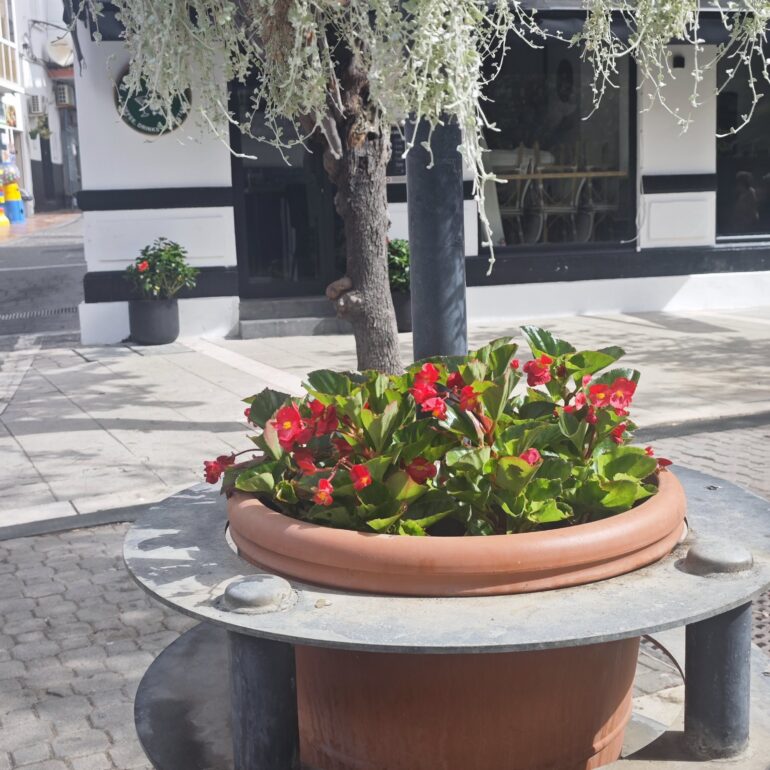 DETALLES