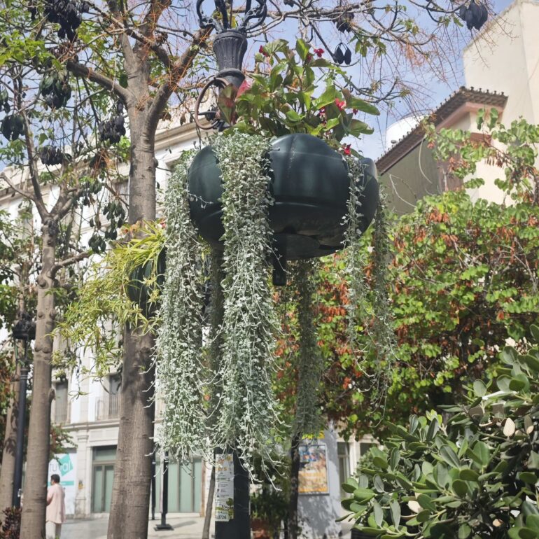 DETALLES