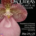 Estepona acerca a aficionados orquídeas, suculentas y plantas carnívoras