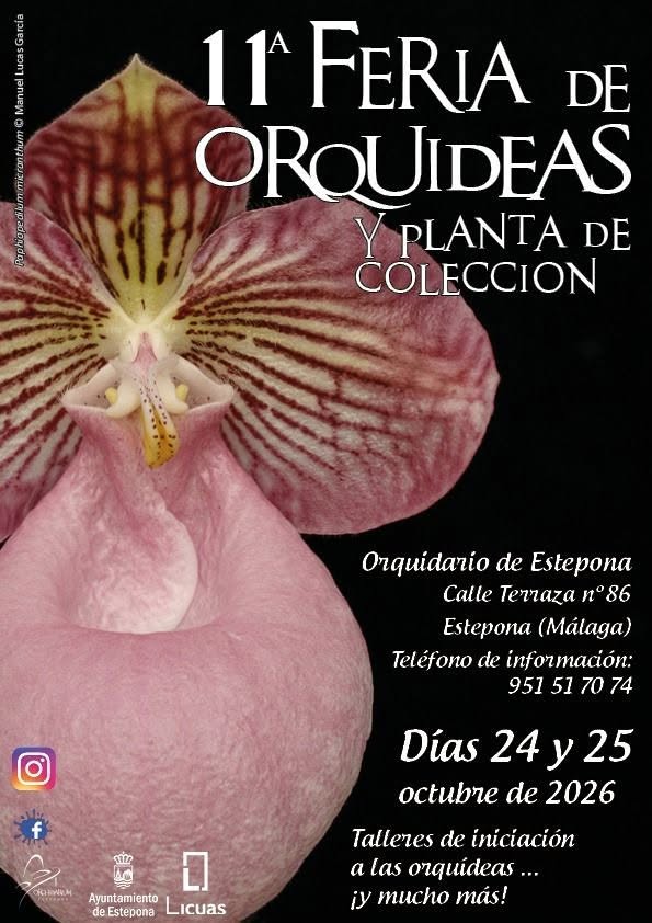 Estepona acerca a aficionados orquídeas, suculentas y plantas carnívoras